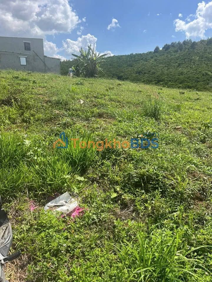 Đất Vườn Lộc Châu, Bảo Lộc - 8640m² Giá Tốt Bán Gấp