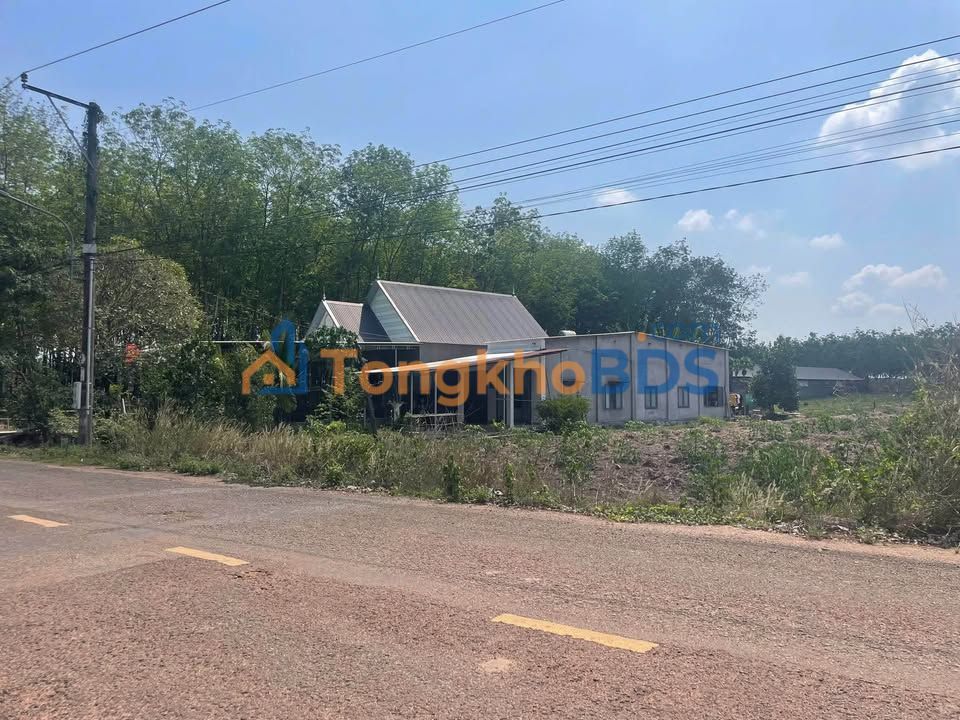 Đất Nền Phú Giáo Bình Dương - 249m² Giá F0 Chỉ 399 Triệu