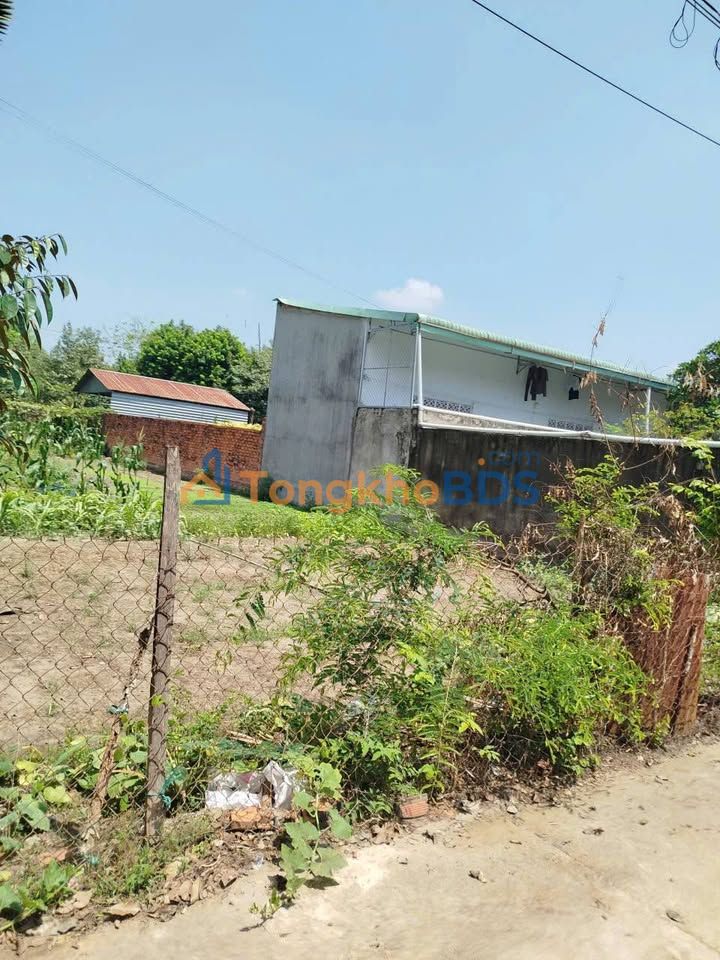 Bán Đất Hóc Môn 289m² Sổ Đỏ - Giá Ngộp 490 Triệu