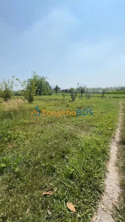 Bán Đất Nền Giồng Tre Tây Ninh 1607m² Sổ Hồng Riêng - Giá Đầu Tư