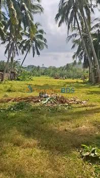 Bán Đất Nền Mặt Tiền Đặng Xuân Phong, Hoài Nhơn - Sổ Đỏ Thổ Cư