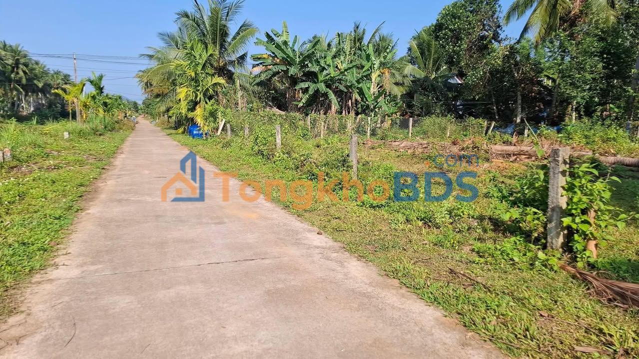 Đất Nền Mặt Đường Bê Tông Hoài Nhơn - 95m² Giá 5xx Triệu