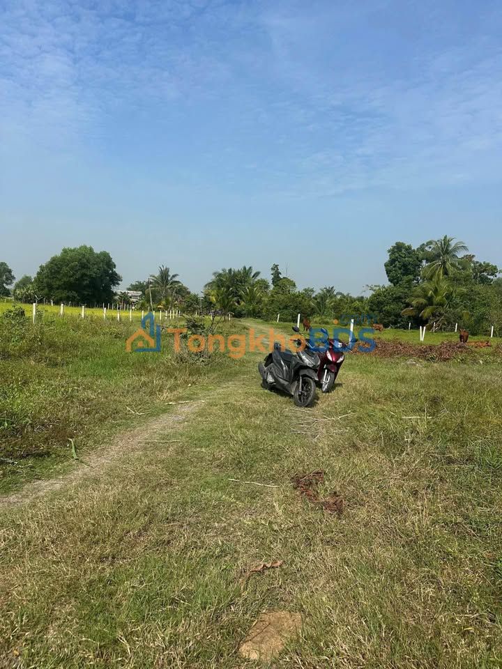Bán Đất Vườn Đức Hòa Long An 2500m² - Sổ Thổ Cư, Giá Ngộp 1.x Tỷ