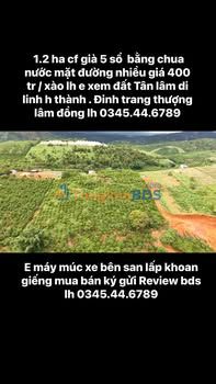 Bán Gấp 1.2 Ha Đất Vườn Cafe Tân Lâm, Di Linh - Sổ Đỏ Riêng, Mặt Đường Lớn