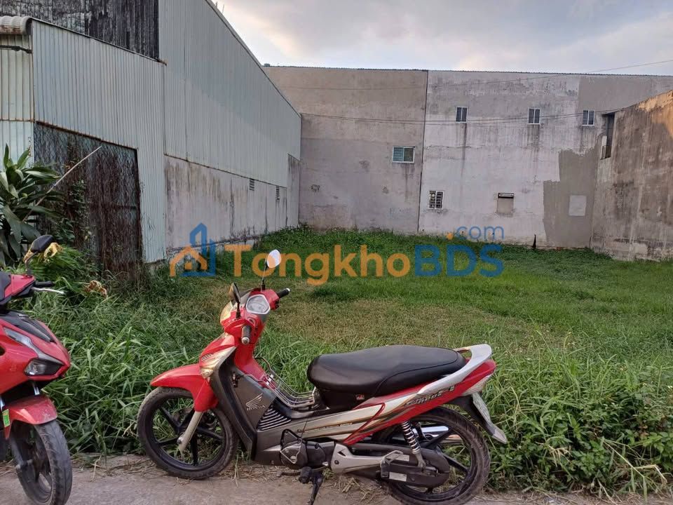 Đất nền Đức Hòa 125m² (5x25m) - Mặt tiền nhựa 6m, giá 1.35 tỷ