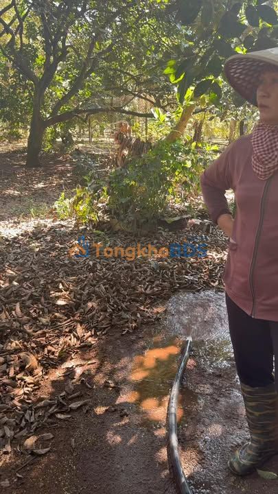 Đất Vườn 3600m² Sổ Hồng Thổ Cư Tại Long Khánh - Tiềm Năng Vô Hạn