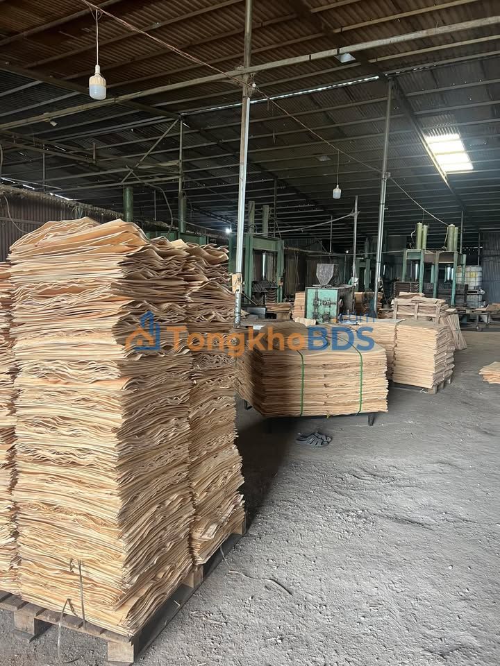 Cho thuê kho xưởng 2.300m² Đồng Nai - Xe công vô thoải mái