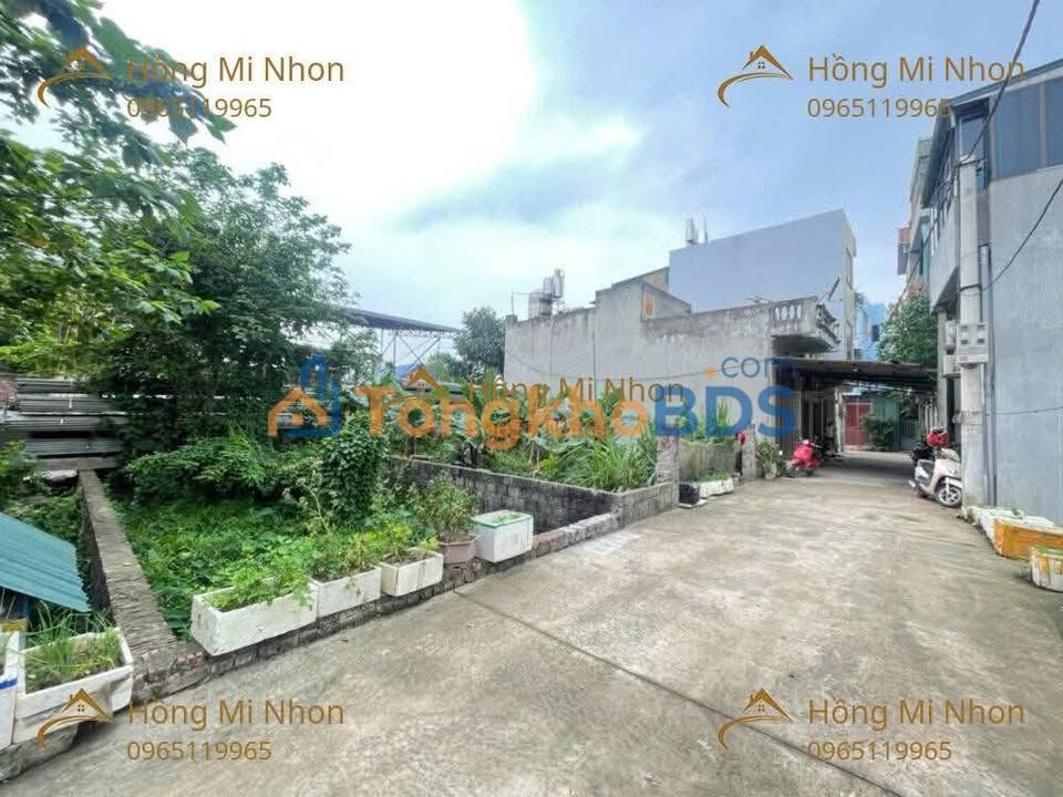 Đất đấu giá Chương Mỹ 55.65m² - Sổ đỏ sẵn, cách QL6 50m