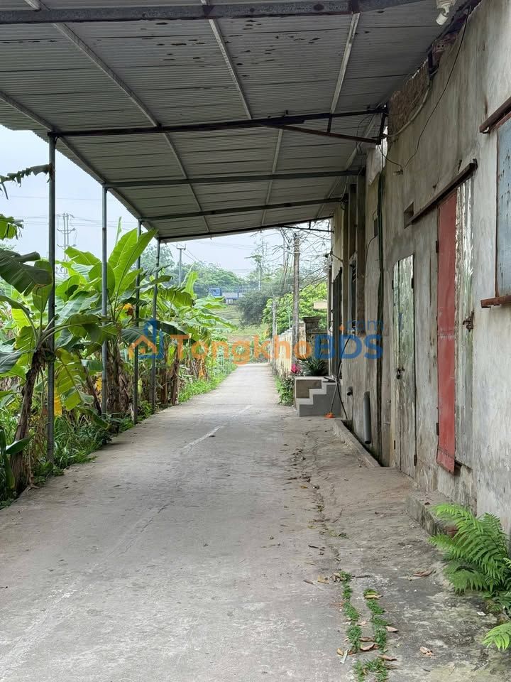 Bán Đất Thổ Cư 150m² Phường Tứ Liên, Tây Hồ - Pháp Lý Sổ Hồng