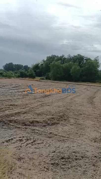 Đất nền Củ Chi 1866m² SHR - Giá Tốt 1.2 tỷ