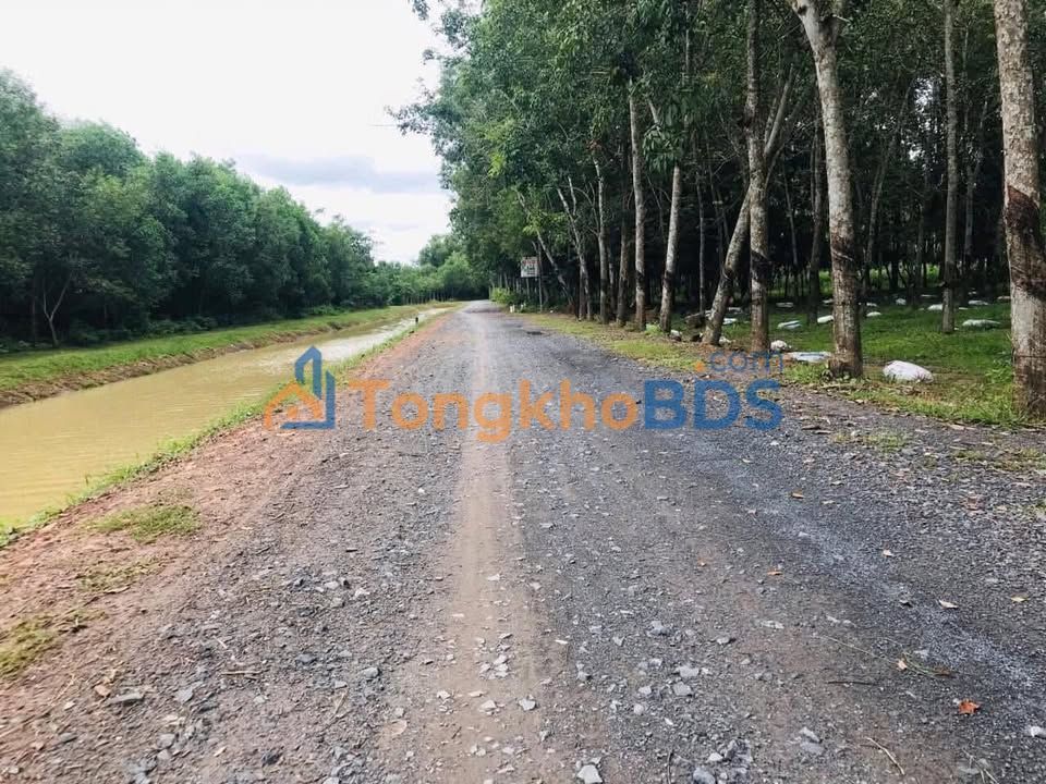 Đất Vườn 300m² Phú Mỹ Hưng, Củ Chi - Giá Tốt 600 Triệu