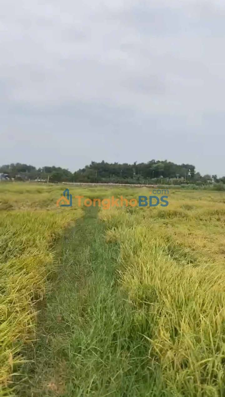 Đất Vườn Củ Chi 2853m² - Sổ Đỏ Rõ Ràng - Giá Đầu Tư 1.48 Tỷ