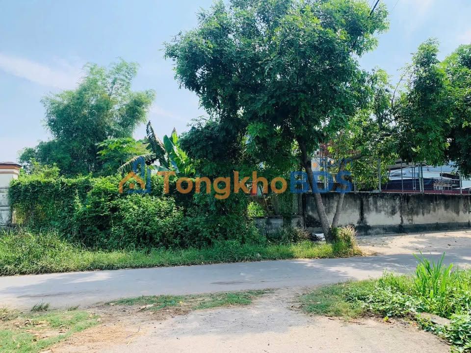 Đất Mặt Tiền 443m² Tân Phú Trung Củ Chi - Giá 4.95 Tỷ, Kinh Doanh Thoải Mái