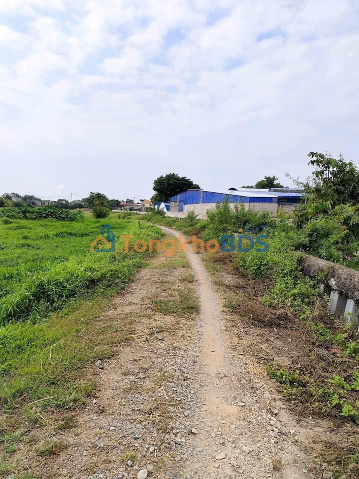 Đất Vườn Hóc Môn 1214m² View Kênh – Giá 4.6 Tỷ - An Yên Nghỉ Dưỡng