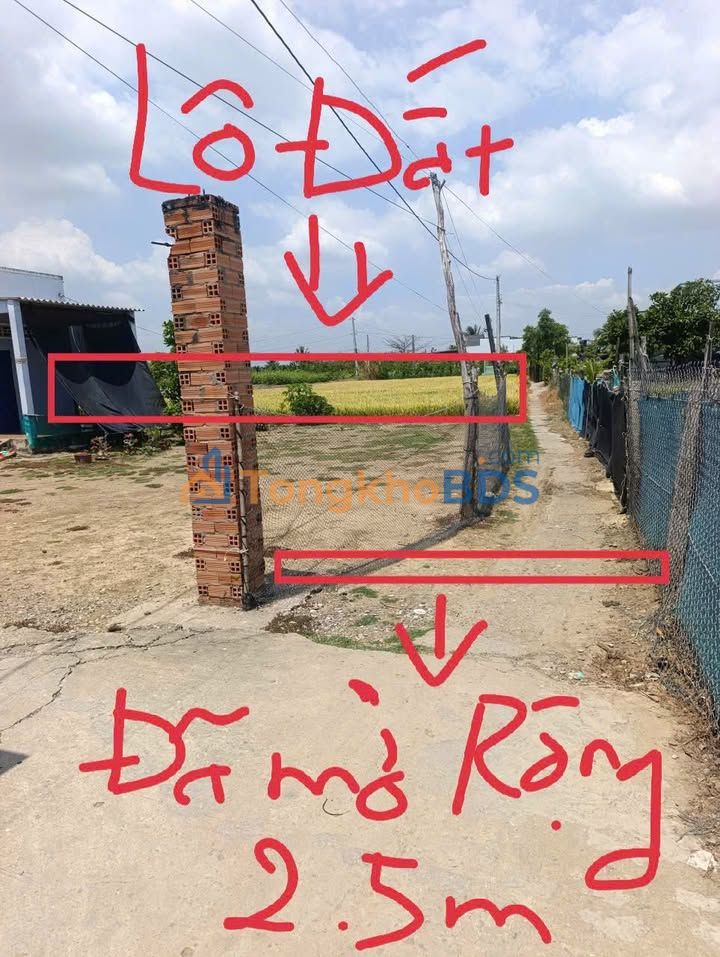 Đất Nền Tiềm Năng Gò Công Đông - 9000m² Giá 500 Triệu/Công