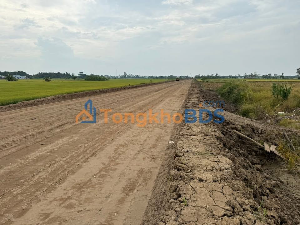 Bán Đất Mặt Tiền TL864, Tân Hòa Thành, Tiền Giang - 1000m², Giá 1.4 Tỷ