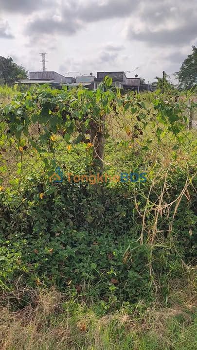 Đất Vàng Long Bình - 813m² Thổ Cư, Hướng Bắc, Giá 2.83 Tỷ