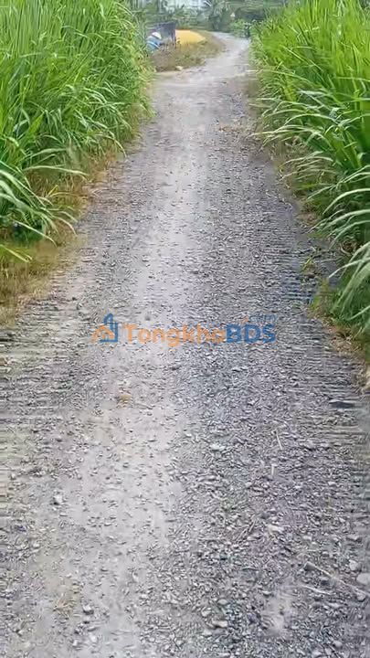 Đất Vườn Tiền Giang 4158m² - 2 Mặt Tiền Đường, Giá Đầu Tư 14.4 Tỷ