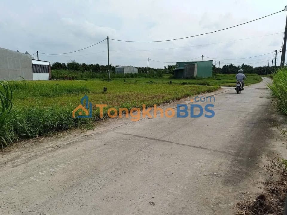 Đất Nền Sổ Hồng Sẵn 100m² - Giá 420 Triệu Tại Châu Thành, Tiền Giang