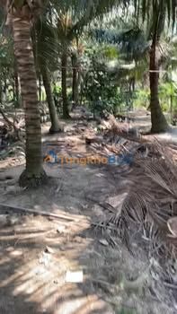 Bán Đất Vườn Dừa 852m² Tiền Giang - Sổ Đỏ Thổ Cư 200m²