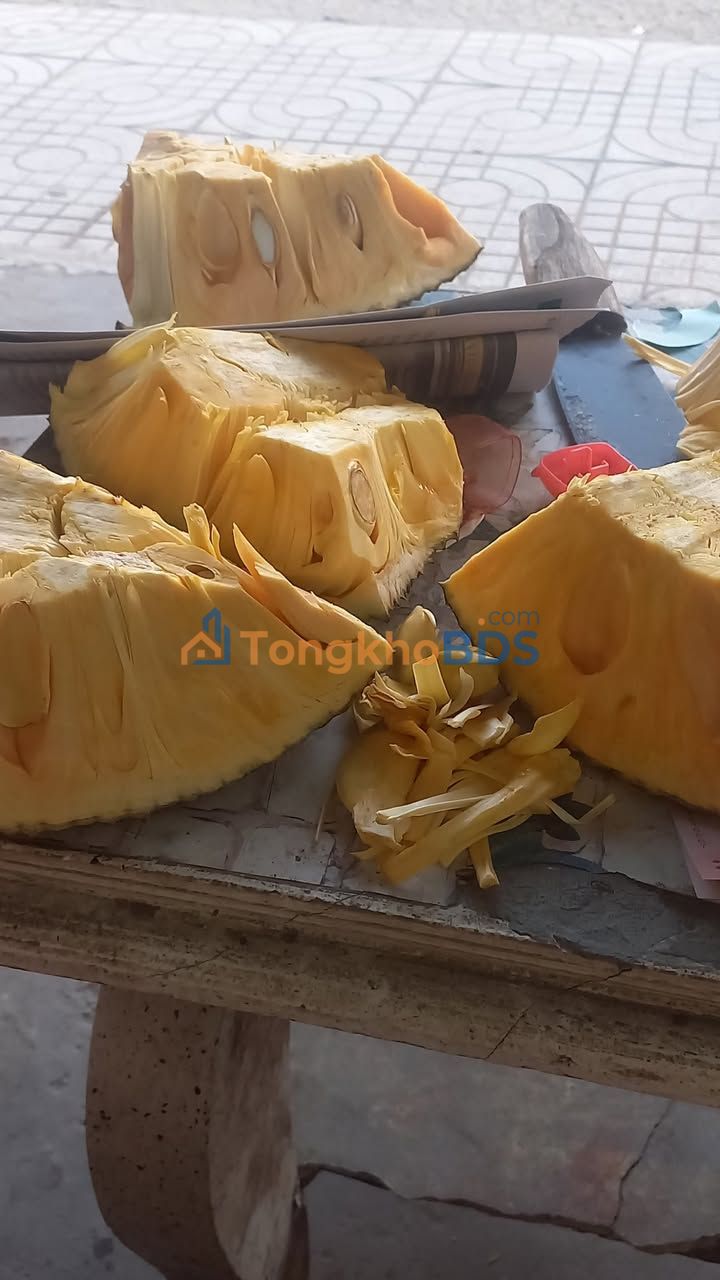 Bán Gấp Đất P. Đạo Thạnh, Mỹ Tho 60m² - Sổ Hồng Thổ Cư