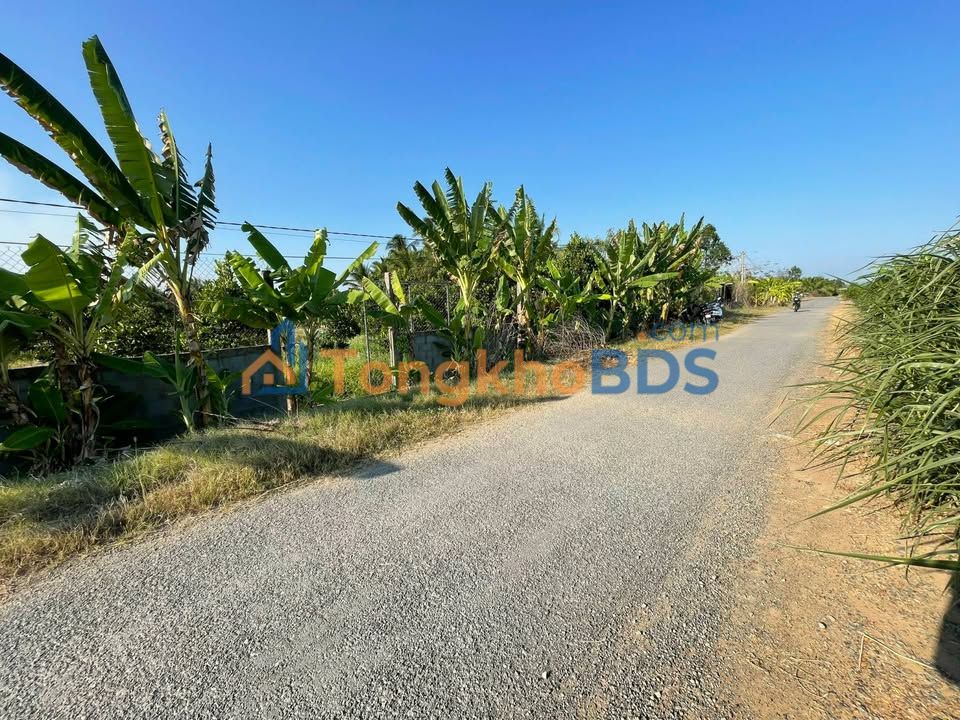Bán Đất Vườn 1742m² Tiền Giang - Sẵn Ao Cá, Đường Nhựa Oto
