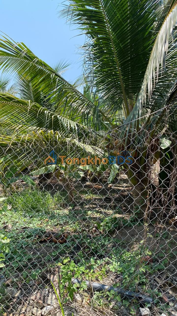 Đất nền 162m² Phường 10 Mỹ Tho - Sổ hồng thổ cư, giá 700 triệu