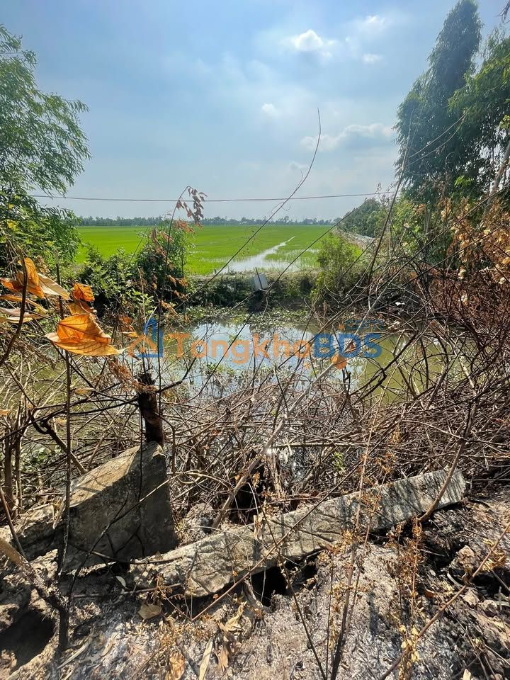 Đất Vườn Tiền Giang 60.000m² - Mặt Tiền Kênh Lớn, Sổ Hồng Riêng