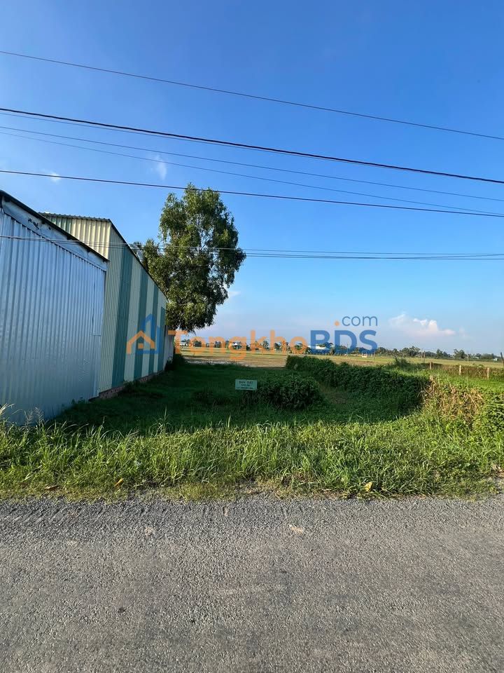 Đất Vườn Tiền Giang 146m² - Sổ Hồng Riêng, Giá 450 Triệu