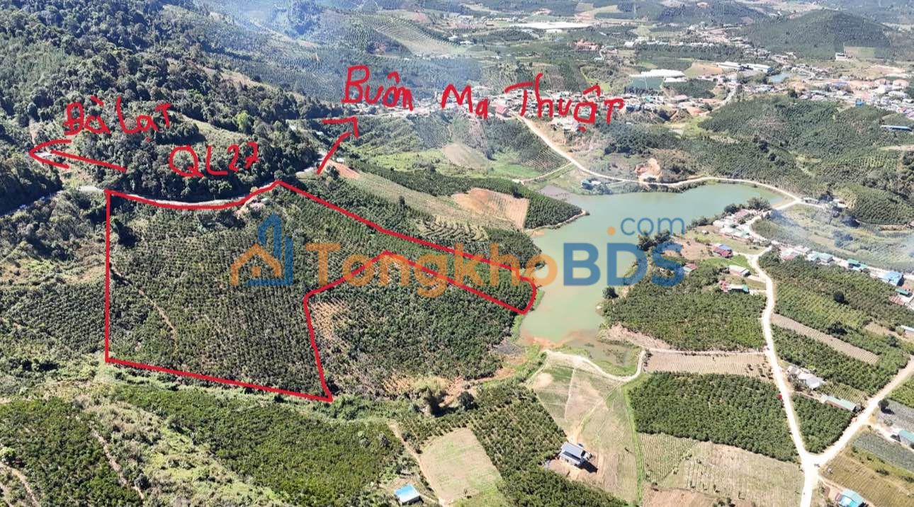 Farm cafe 3.5ha Quốc lộ 27, Lâm Đồng - Giá ngộp chỉ 6.8 tỷ