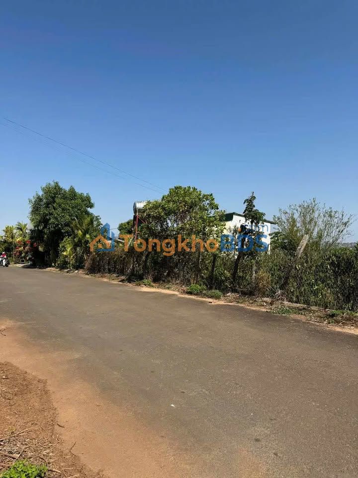 Đất nền 100m² Thị trấn Ea Drăng, Đắk Lắk - Sổ hồng sẵn, giá 2.5 tỷ