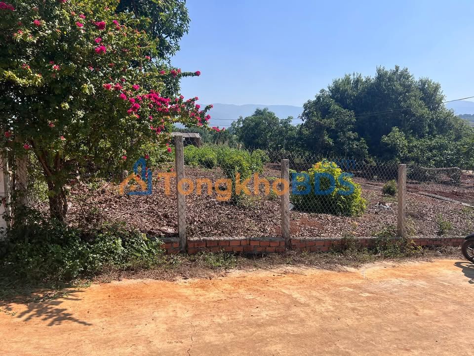 Đất Nền Nam Ban Lâm Hà 120m² - Sổ Đỏ Thổ Cư, Giá Đầu Tư 950 Triệu