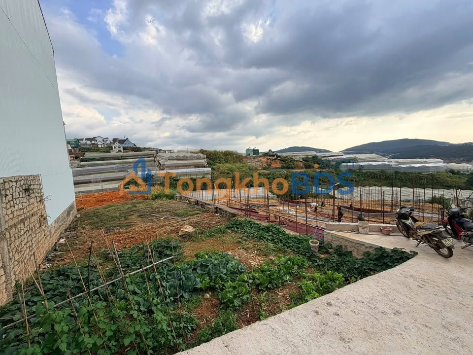 Đất Biệt Lập Đà Lạt - Hẻm Ô Tô Đường Cao Thắng - 279.5m² Sổ Riêng