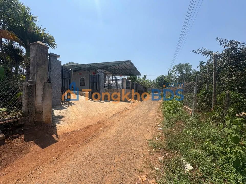 Bán Đất Nền 730m² Thôn 3 Đà Lạt - Sổ Đỏ, Giá 3.x Tỷ