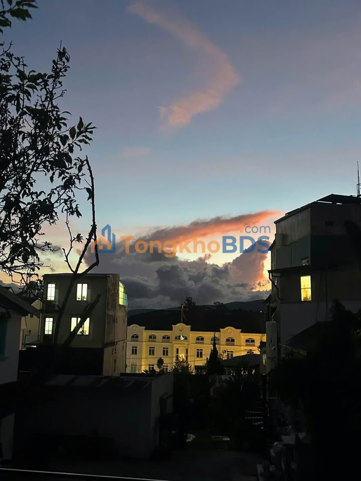 Bán Đất Mặt Tiền Đường Nhựa Đà Lạt 969m² - Sổ Đỏ - 53 Tỷ