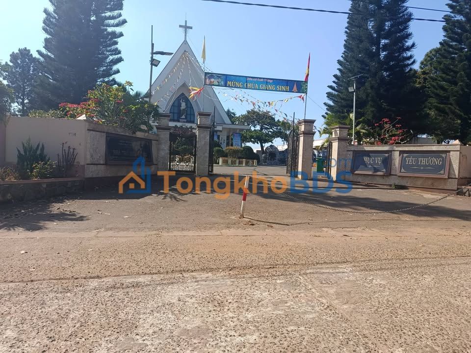 Đất Nền 250m² Suối Thông B, Đà Lạt - Giá 1.8 Tỷ, Sẵn Sổ Đỏ