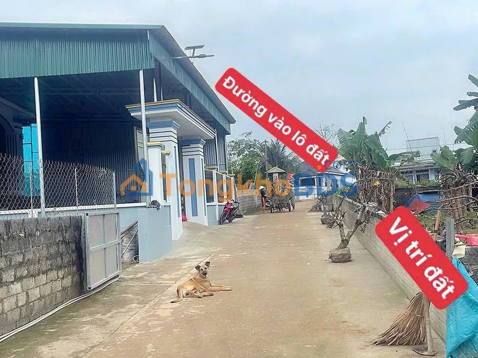 Đất Thọ Dân (Triệu Sơn, Thanh Hóa) 108m² Sổ Hồng Full Thổ Cư - Giá Tốt