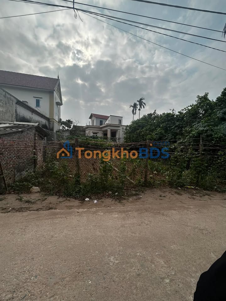 Đất Phượng Dực - Phú Xuyên 142m² Full Thổ Cư - Ô Tô Đỗ Cửa