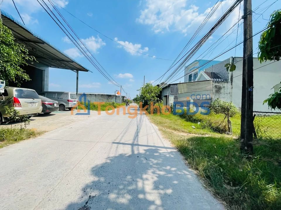 Bán Đất Vườn 250m² Mỹ Hạnh Nam, Đức Hòa - Sổ Hồng Riêng, Giá 1.5 Tỷ