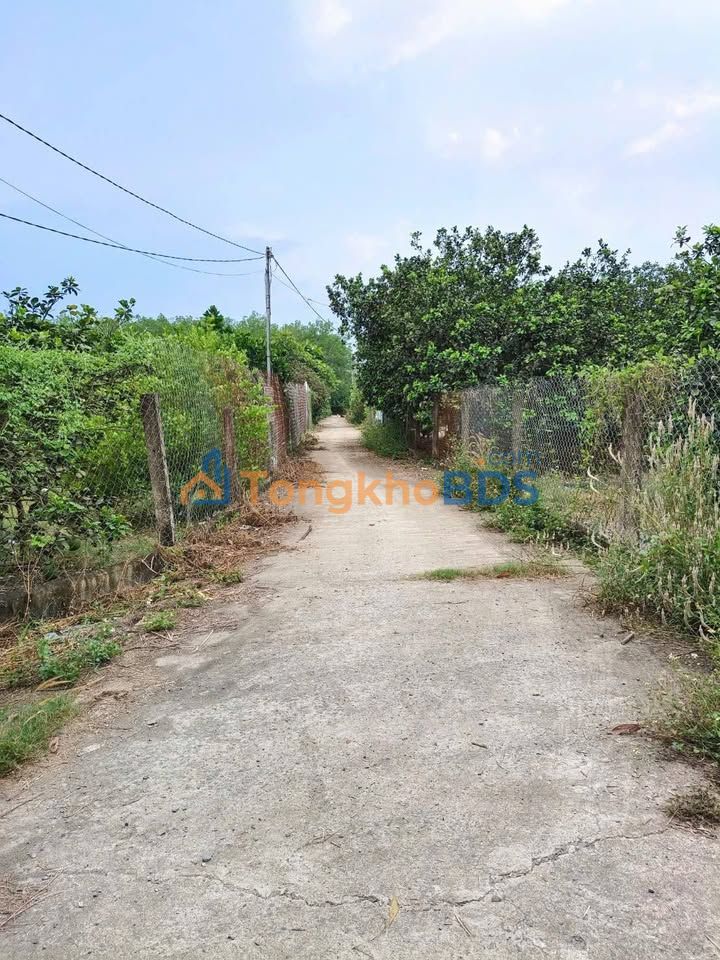 Đất Vườn Biên Hòa 850m² Sổ Riêng - Giá Đầu Tư 2.85 Tỷ