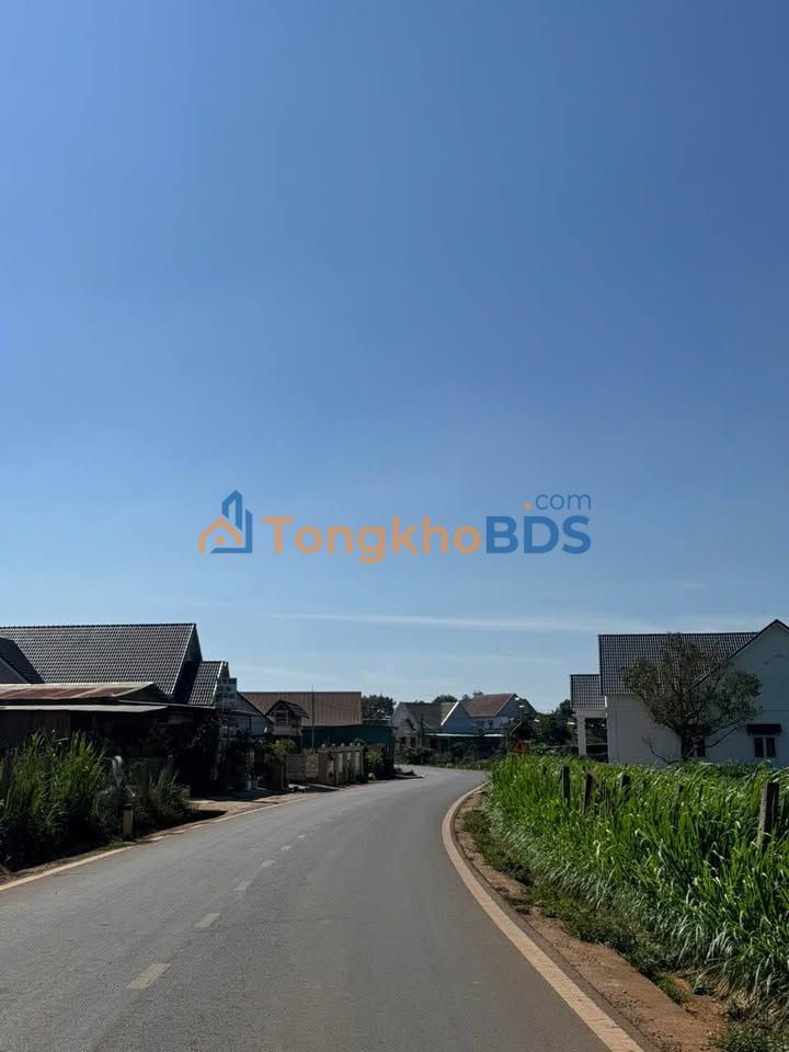 Đất Mặt Tiền Bồng Lai Đức Trọng 920m² - View Đẹp, Sẵn Sổ Hồng