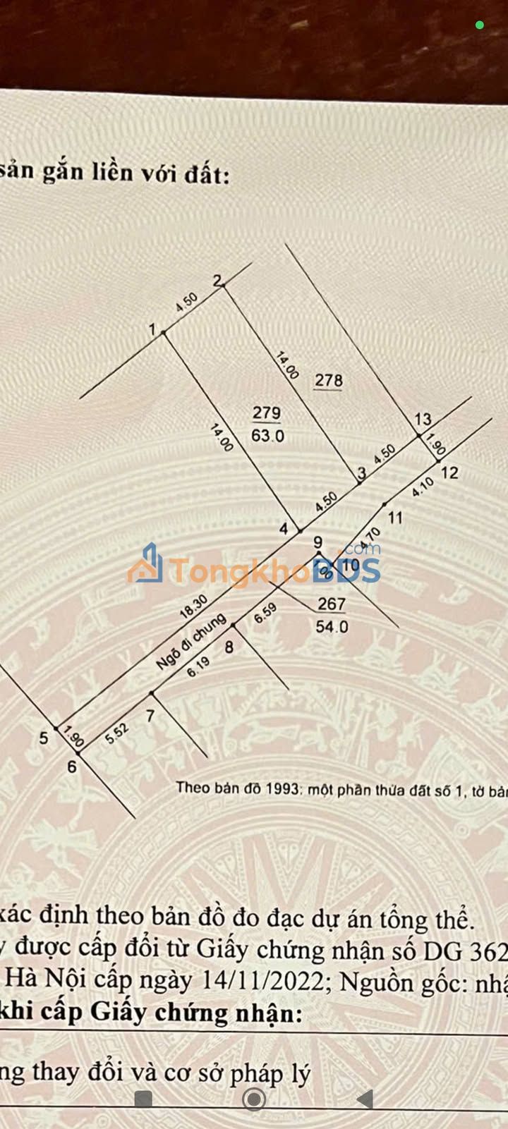 Bán Gấp Đất Vàng 63m² Tình Quang, Long Biên - Ô Tô Đỗ Cổng