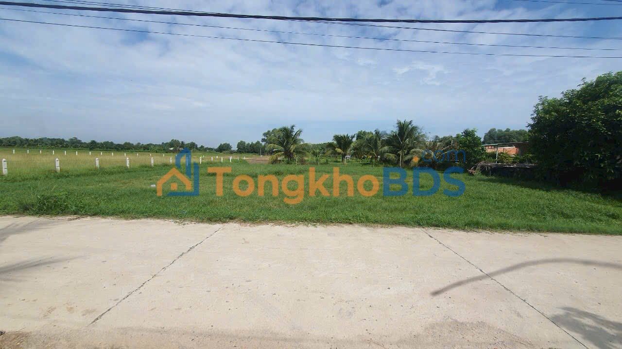 Đất nền Củ Chi 1034m² - Mặt tiền đường xe hơi, sổ hồng sẵn sàng