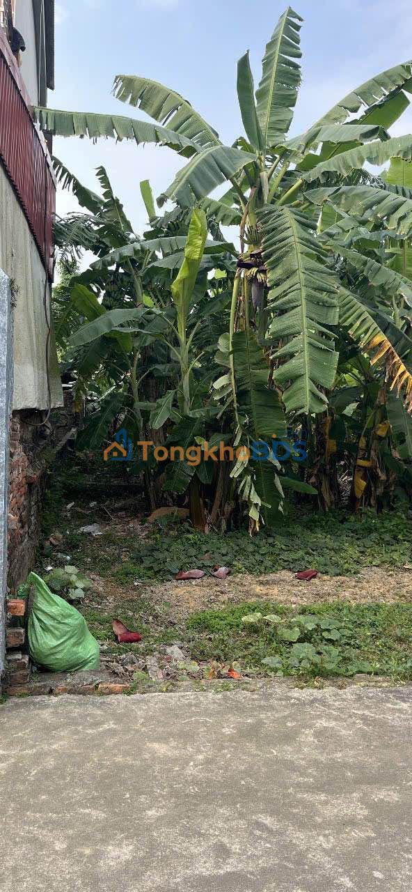 Đất Nền Cổ Bì, Bình Giang 138m² - Giá Tốt Dưới 10tr/m²