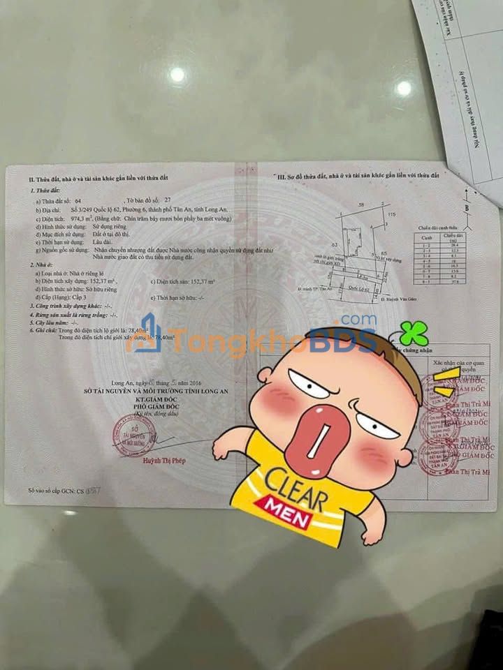 Mặt tiền QL62 Tân An 1000m² - Kinh doanh đắc lợi, giá 50 tỷ