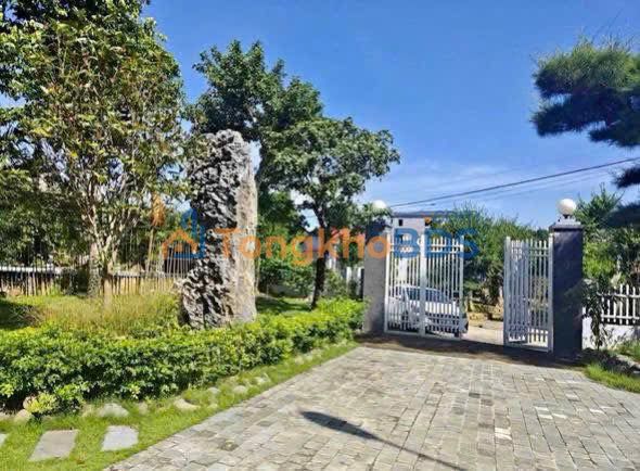 Đất Vườn Củ Chi 1000m² - Sổ Riêng - Giá F0 3.2 Tỷ