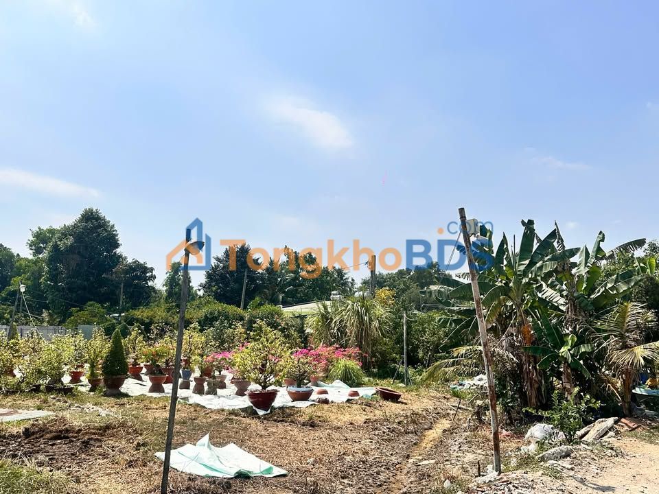 Bán Đất Thủ Đức 2594m² Sổ Riêng - Giá 12.97 Tỷ