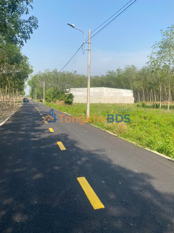 Bán Đất Mặt Tiền Nhựa 100m² Phường Phú Lợi, Thủ Dầu Một - Giá 1.36 Tỷ