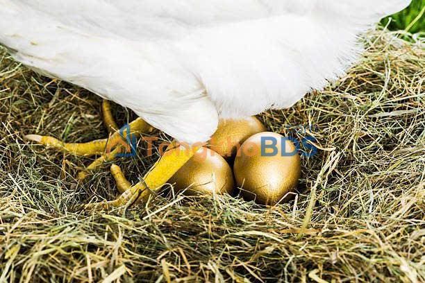 Nhà 5 Tầng Nguyễn Gia Trí (D2), 80m², Kinh doanh KTX 68 Giường - 25 Tỷ