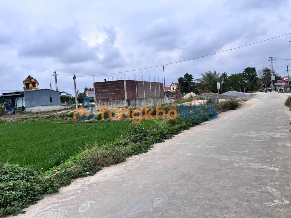 Đất nền Hậu Lộc, Thanh Hóa 175m² - Sổ đỏ sẵn sàng, giá đầu tư